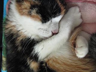 c0201113_2144819.jpg