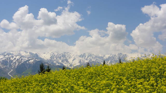 f0233414_2355481.jpg