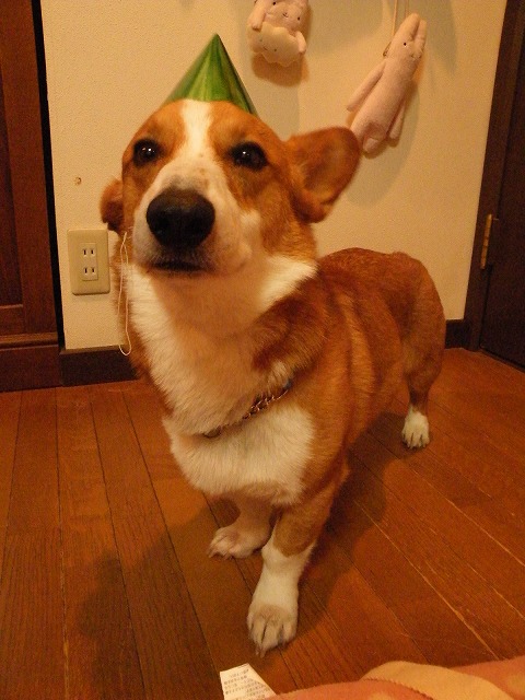c0127617_22272480.jpg