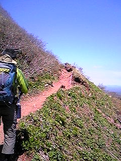 f0028123_2212393.jpg