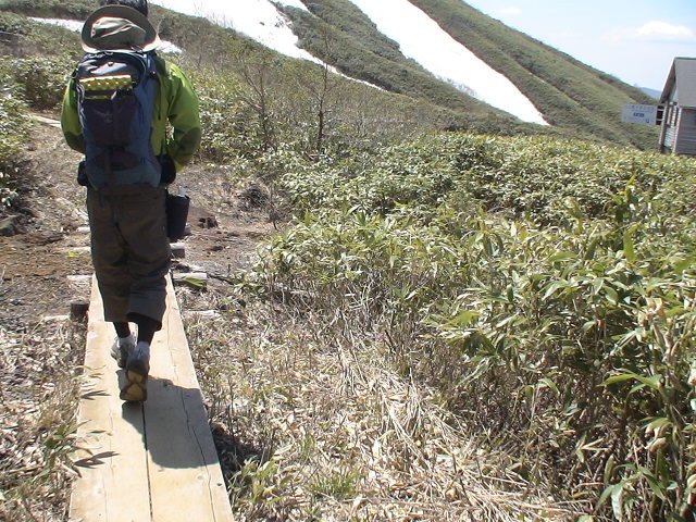 f0028123_22223224.jpg