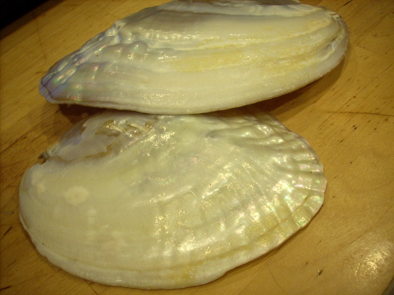 f0157724_449572.jpg