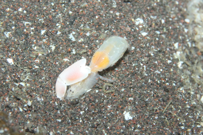 c0034029_153322.jpg