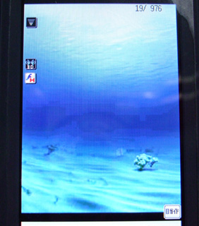 c0000134_1454417.jpg