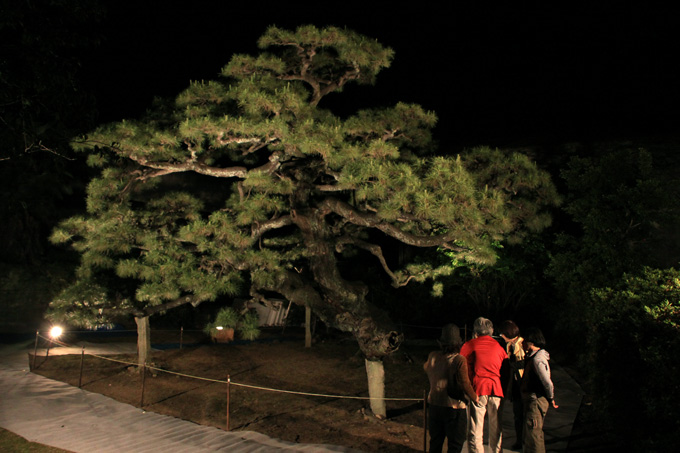 e0155240_17202383.jpg