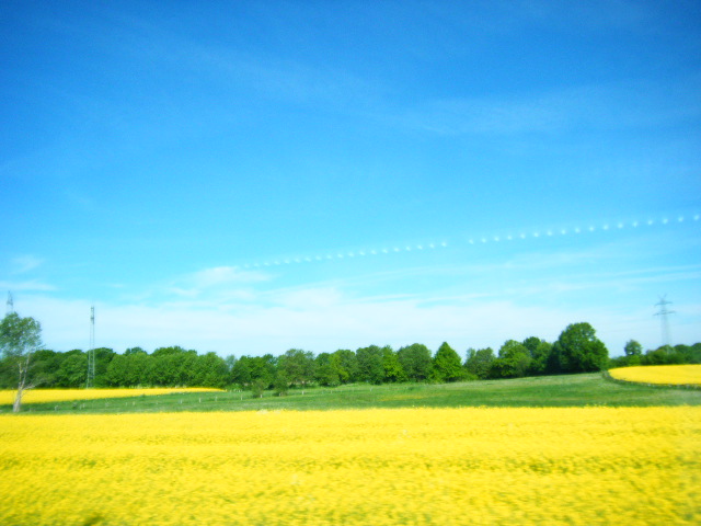 f0210340_1392296.jpg