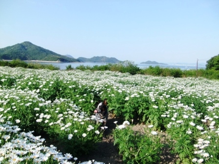 d0081541_0544826.jpg