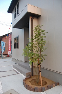 b0082242_22203829.jpg