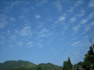 a0054948_923334.jpg
