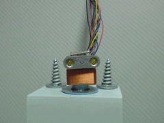 e0005548_0274534.gif