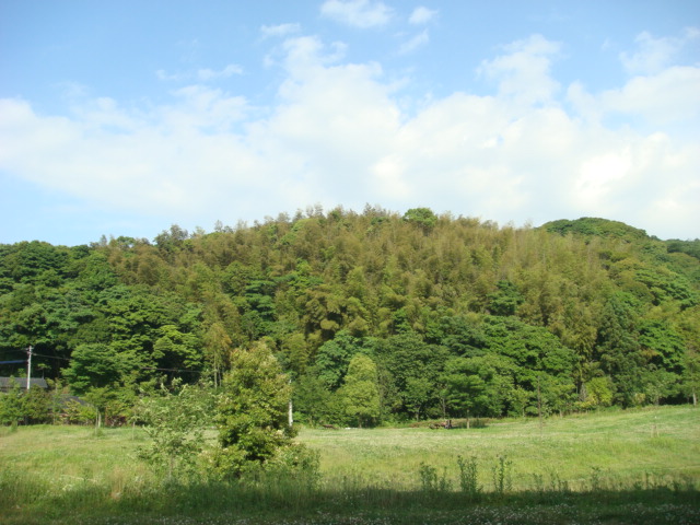 e0169149_2225243.jpg