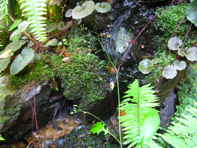 f0198950_2115212.jpg