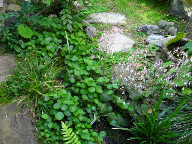 f0198950_2120726.jpg