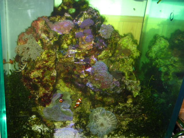 f0198950_21243091.jpg