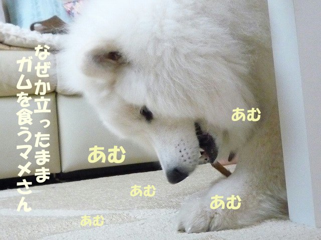 e0176159_2126303.jpg