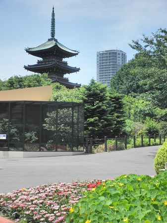 b0145863_22523517.jpg