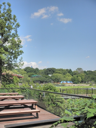 b0145863_23182183.jpg