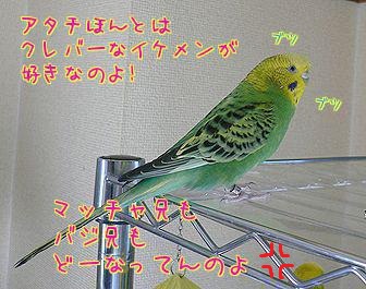 f0196665_005840.jpg