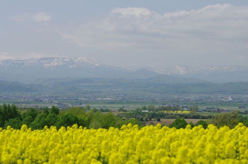 a0105267_19534856.jpg