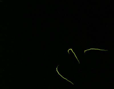 c0112172_23523826.jpg