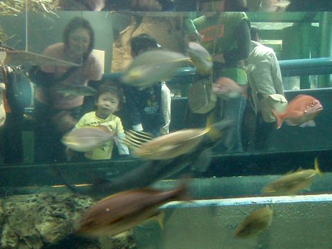 f0047773_20544354.jpg