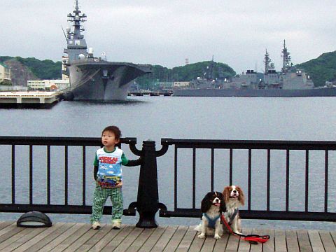 f0047773_21305273.jpg