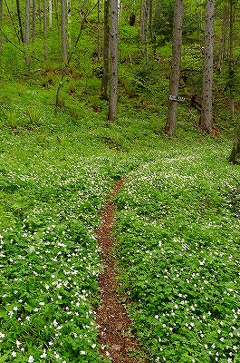 f0182173_1138244.jpg