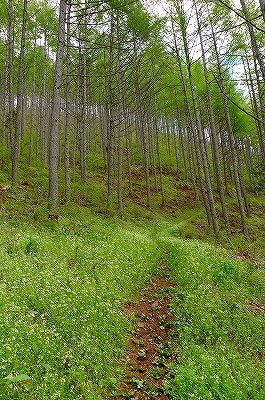 f0182173_11391017.jpg