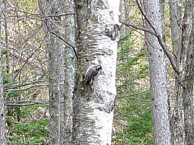 f0182173_12125111.jpg