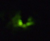 c0212576_1883488.jpg