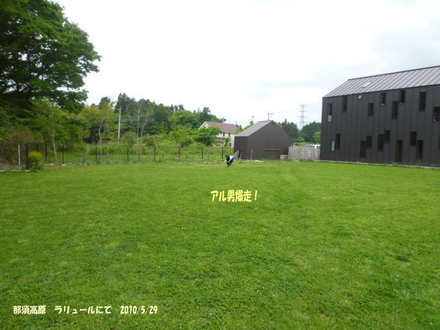e0165577_1027130.jpg