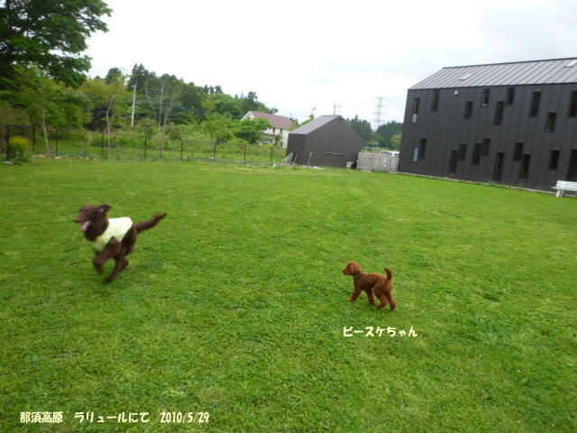 e0165577_9422119.jpg