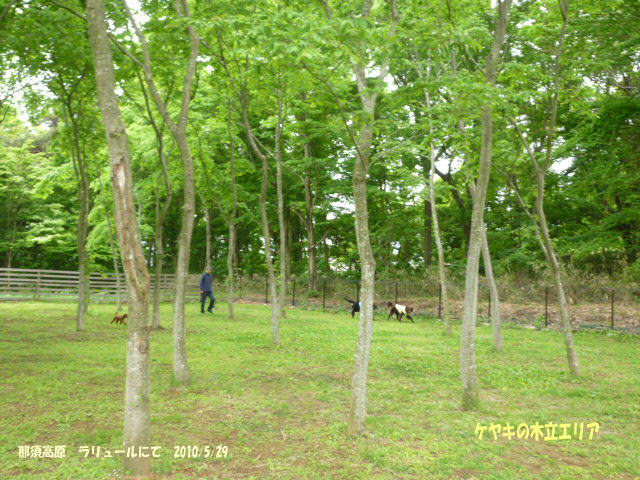 e0165577_9434782.jpg