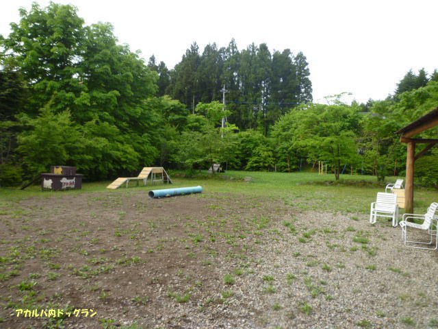 e0165577_9532049.jpg