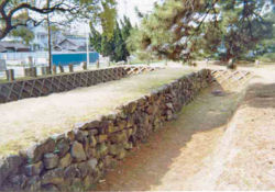 e0040579_21104540.jpg