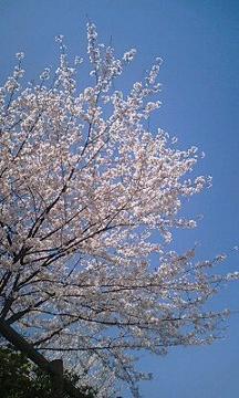 c0121183_17594153.jpg