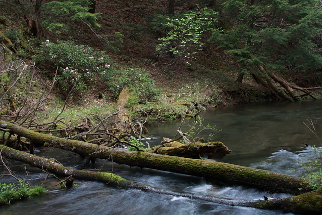 e0165983_1844891.jpg