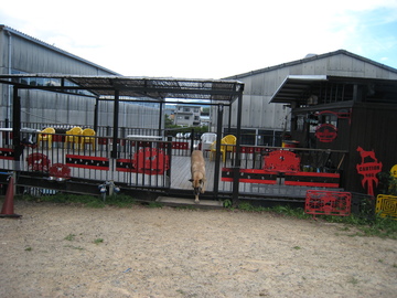 d0065484_0175214.jpg