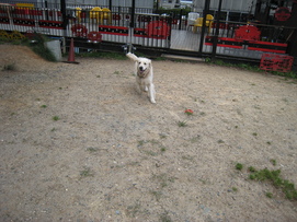 d0065484_0285269.jpg