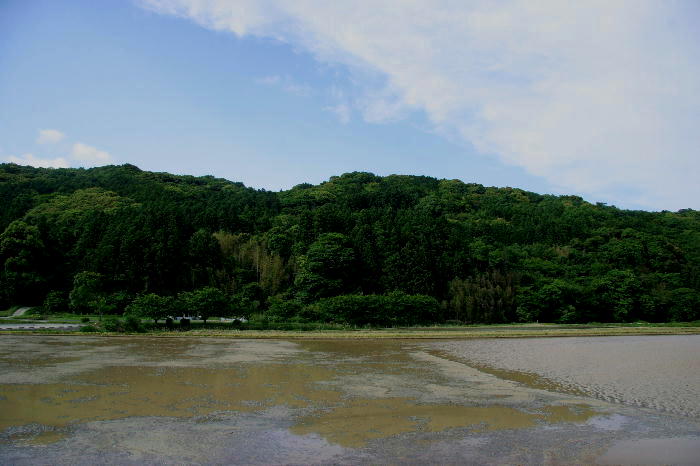 b0171185_0391659.jpg