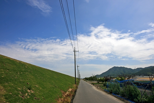 e0190885_19215111.jpg