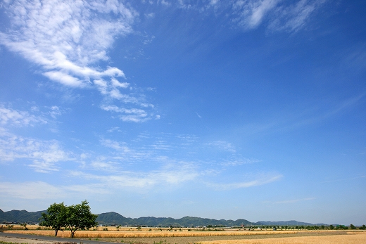 e0190885_19225442.jpg