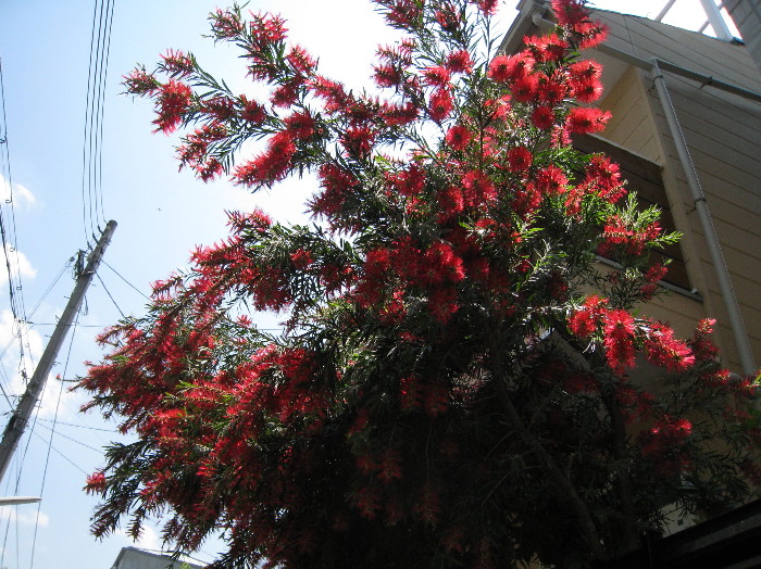 c0132387_224725100.jpg