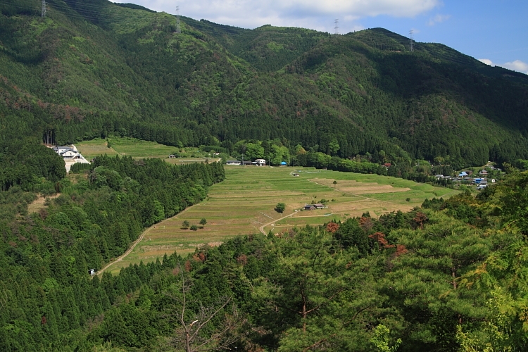 e0051888_1445254.jpg