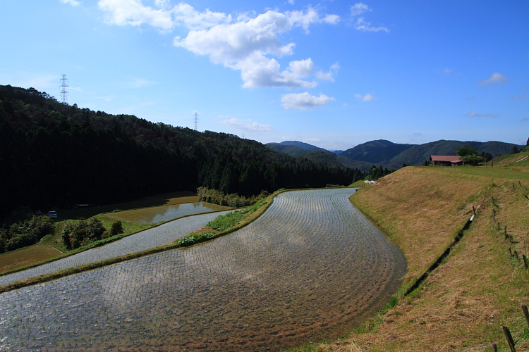 e0051888_14698.jpg