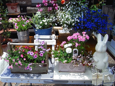 c0207890_062887.jpg