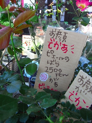 c0207890_23591960.jpg