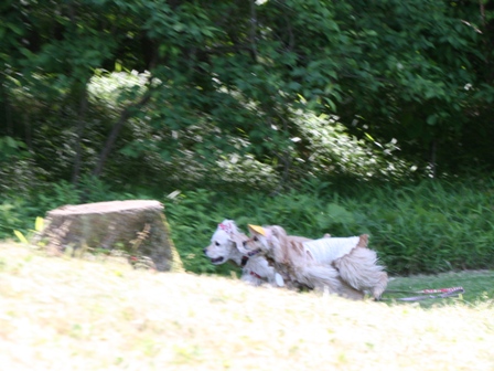c0128303_14385534.jpg