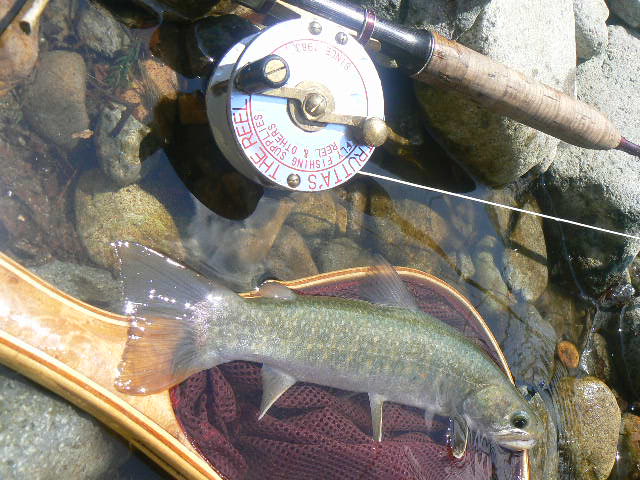 f0164503_15541480.jpg