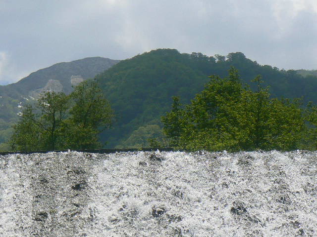 f0164503_161295.jpg